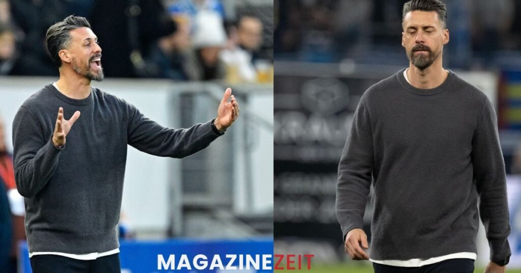 sandro wagner fc augsburg